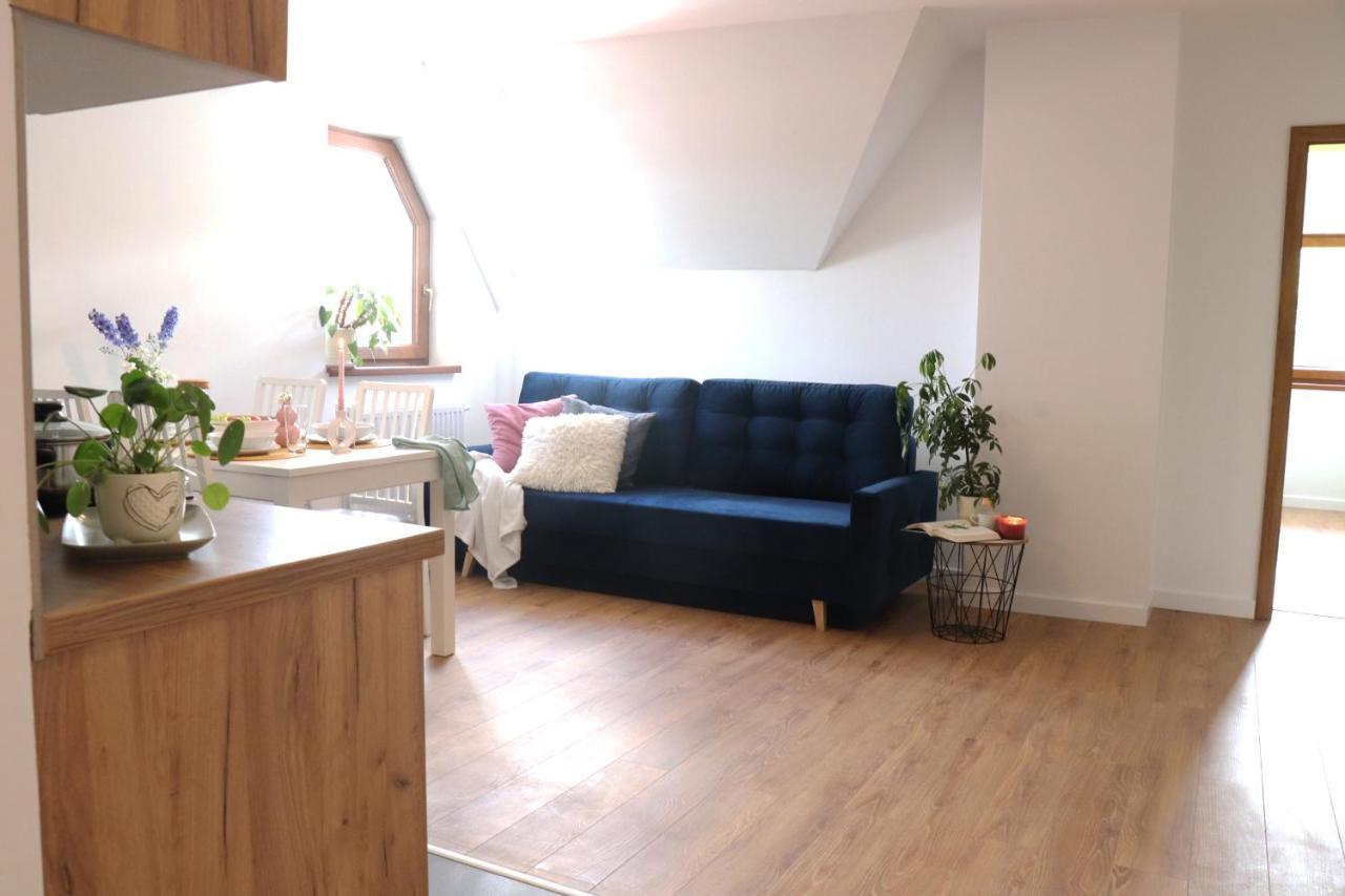 Apartamenty Pardalowka 50 Zakopane Esterno foto