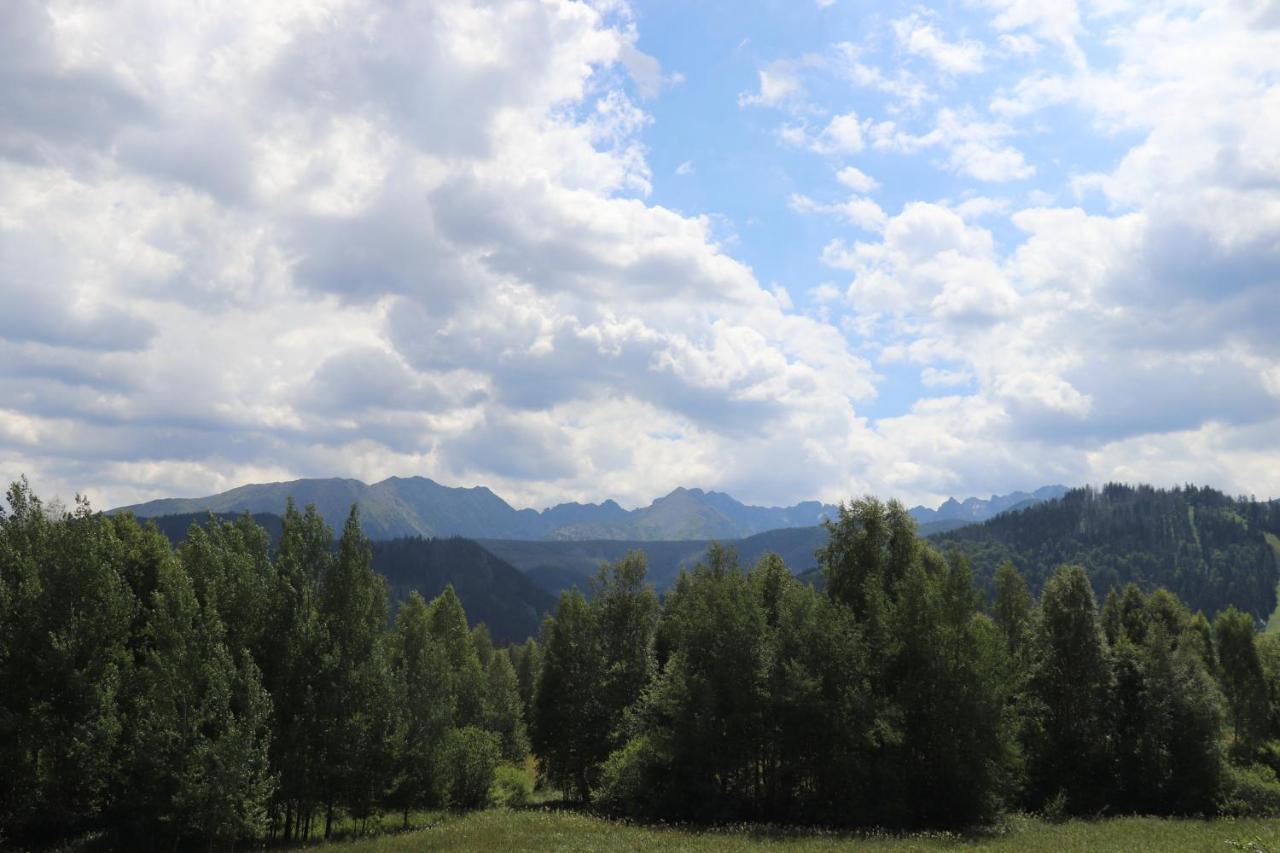 Apartamenty Pardalowka 50 Zakopane Esterno foto